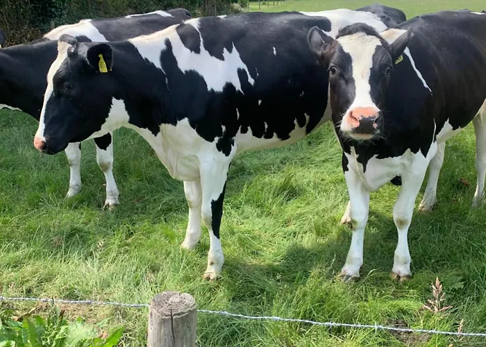 At Marries Отель типа 