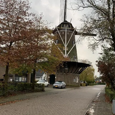 At Marries Bed & Breakfast 3*