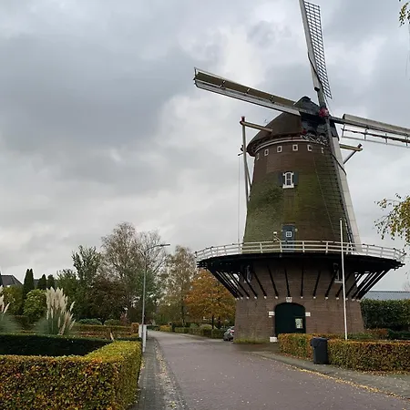 At Marries Bed & Breakfast 3*