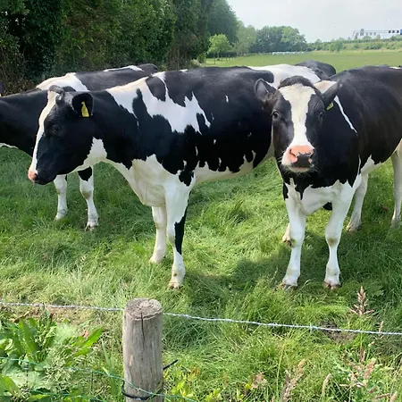 At Marries Bed & Breakfast Wilp